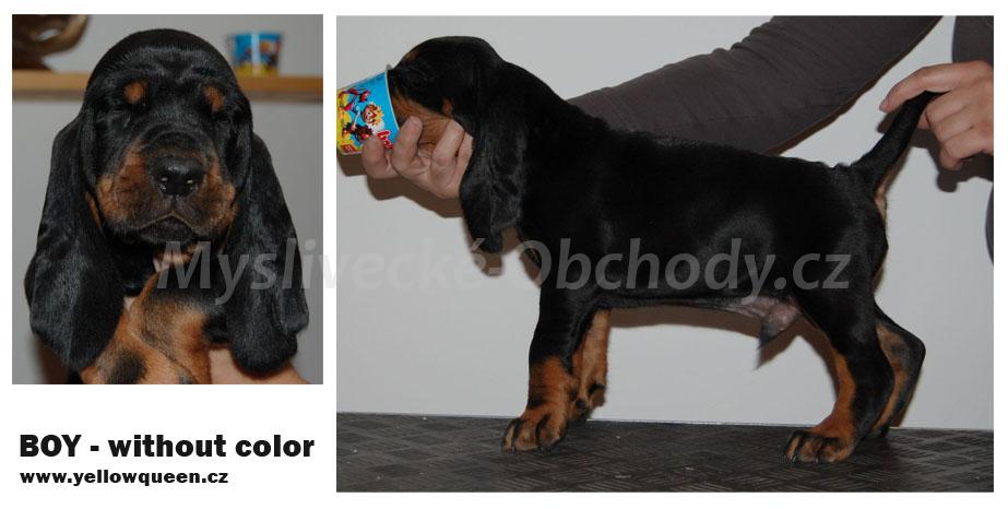 Foto v�robku