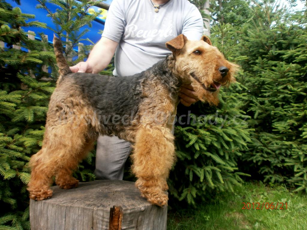 Foto v�robku