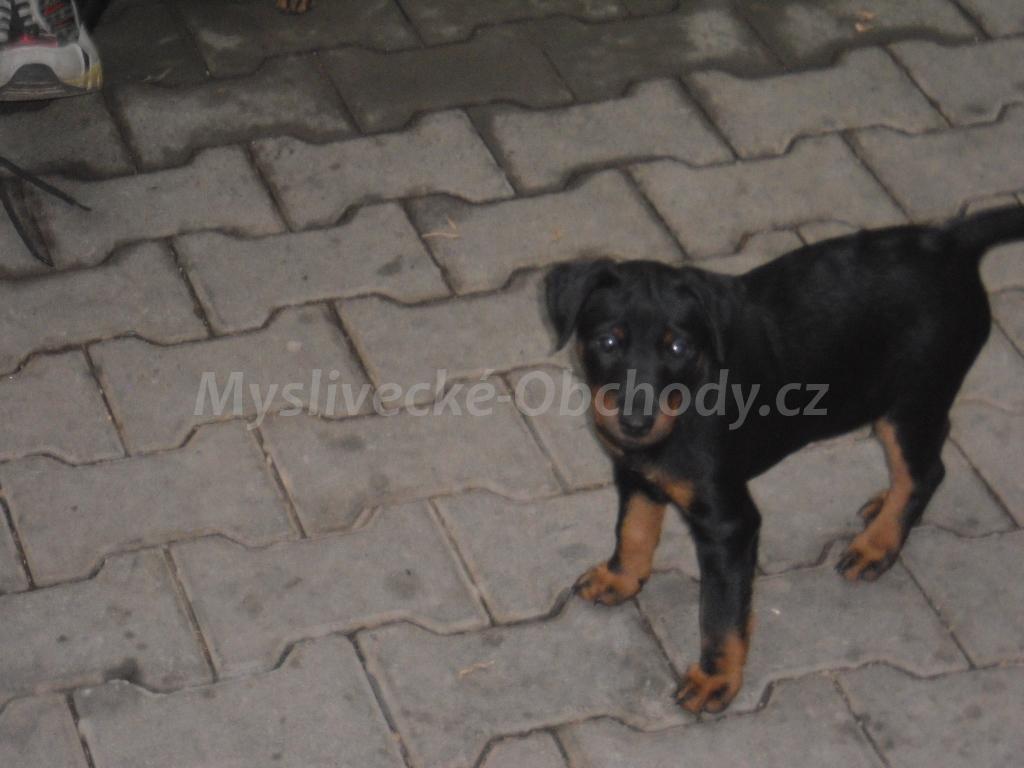Foto v�robku