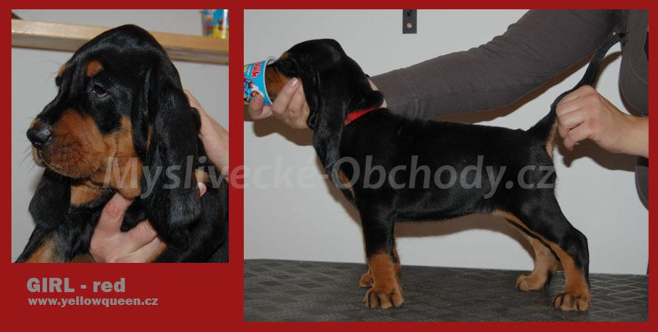 Foto v�robku