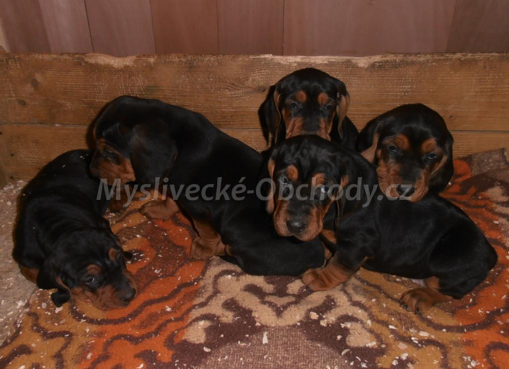 Foto v�robku