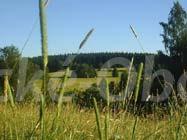 Foto v�robku