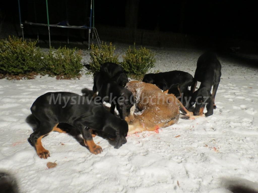 Foto v�robku