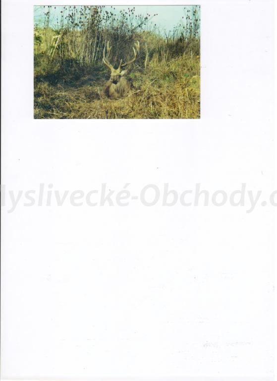 Foto v�robku