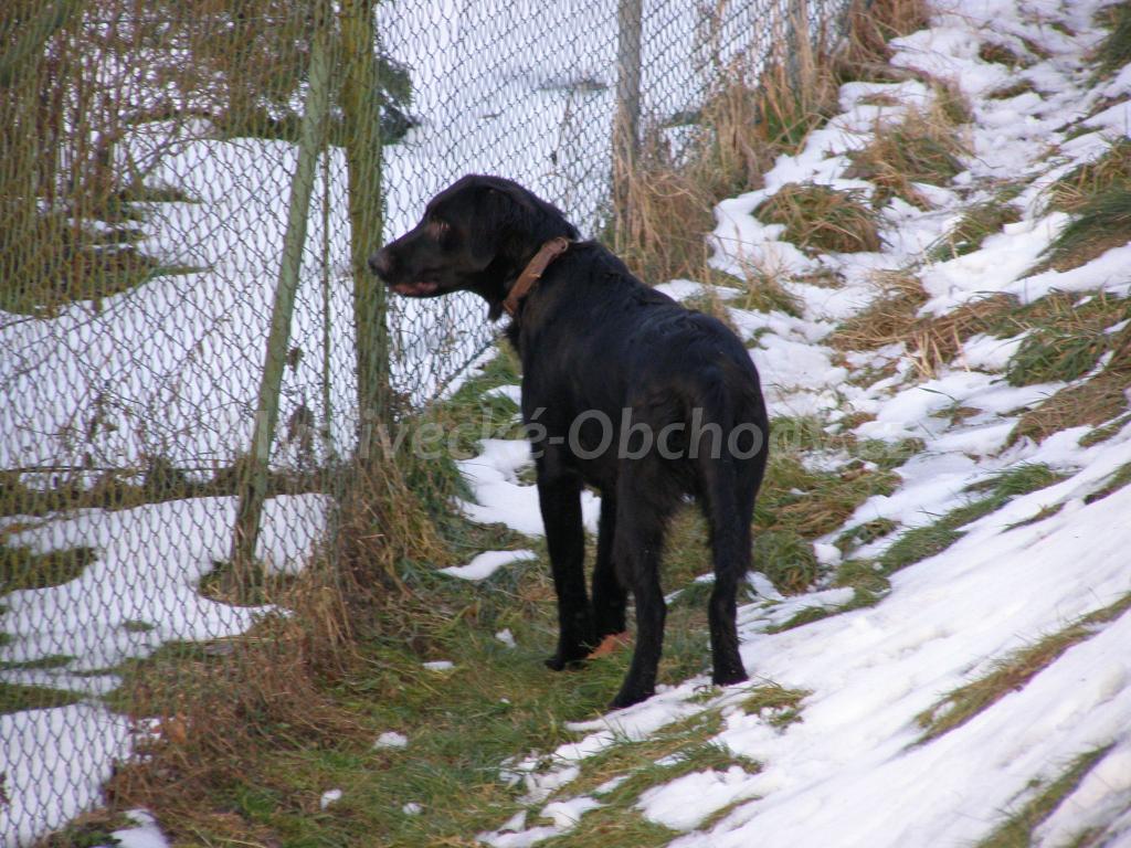 Foto v�robku