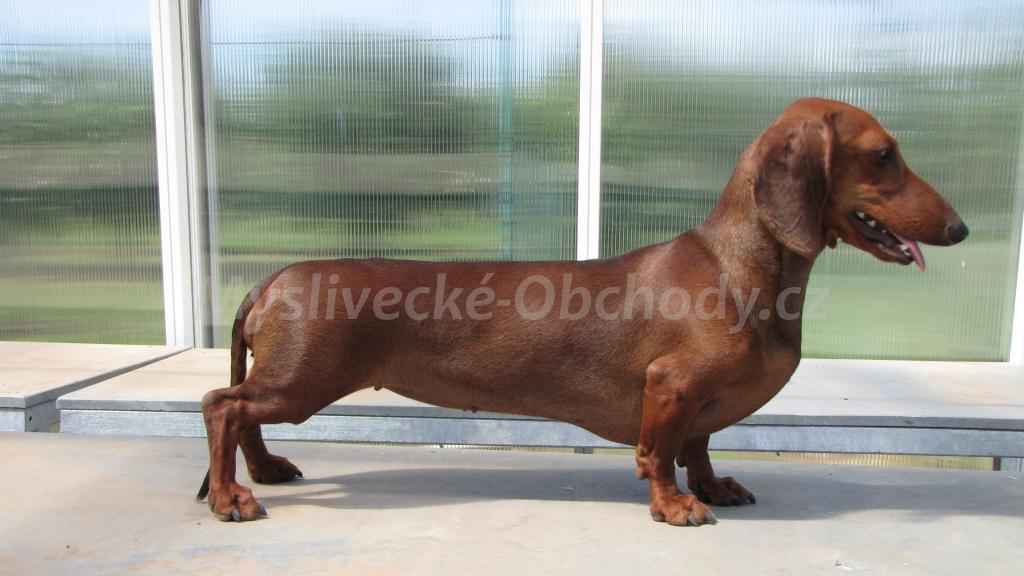 Foto v�robku