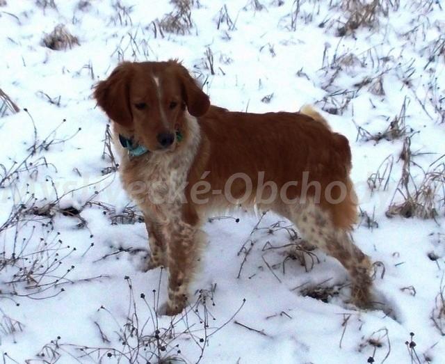 Foto v�robku