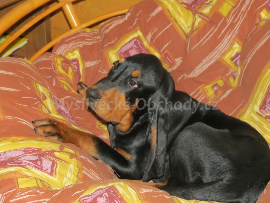 Foto v�robku