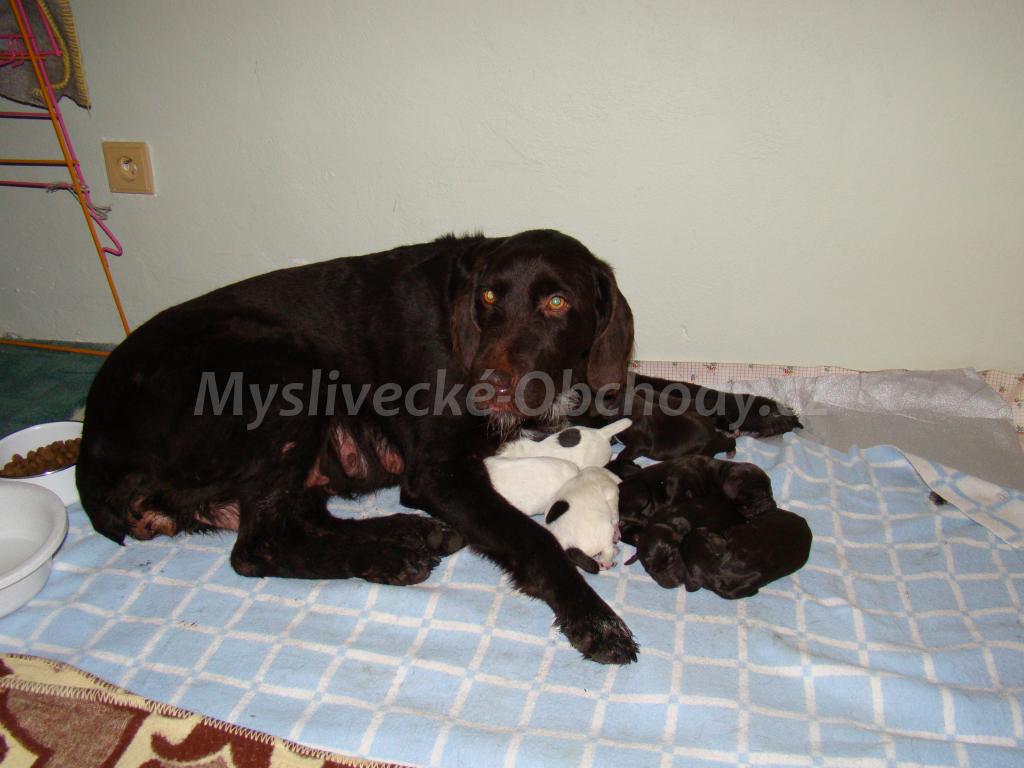 Foto v�robku