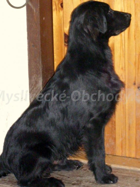Foto v�robku