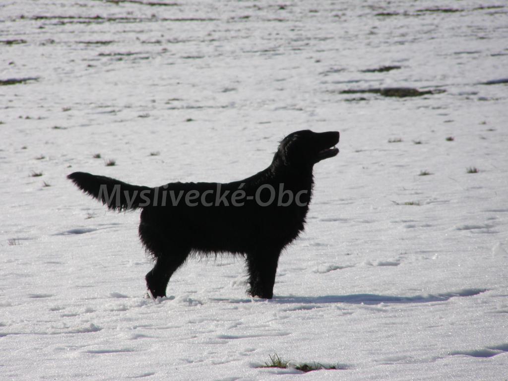 Foto v�robku