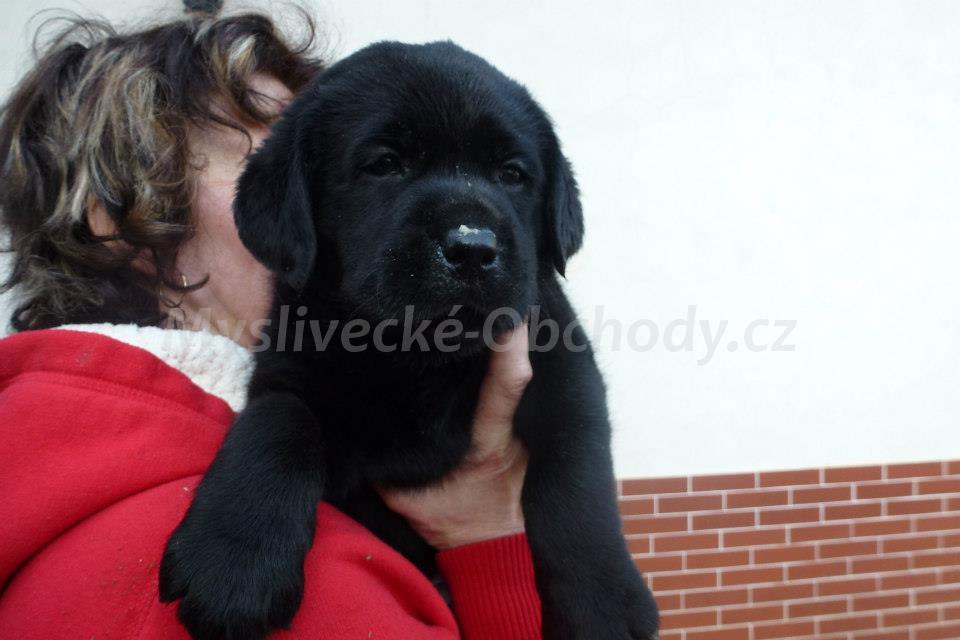 Foto v�robku