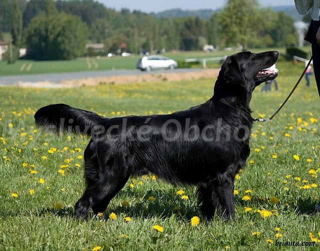 Foto v�robku