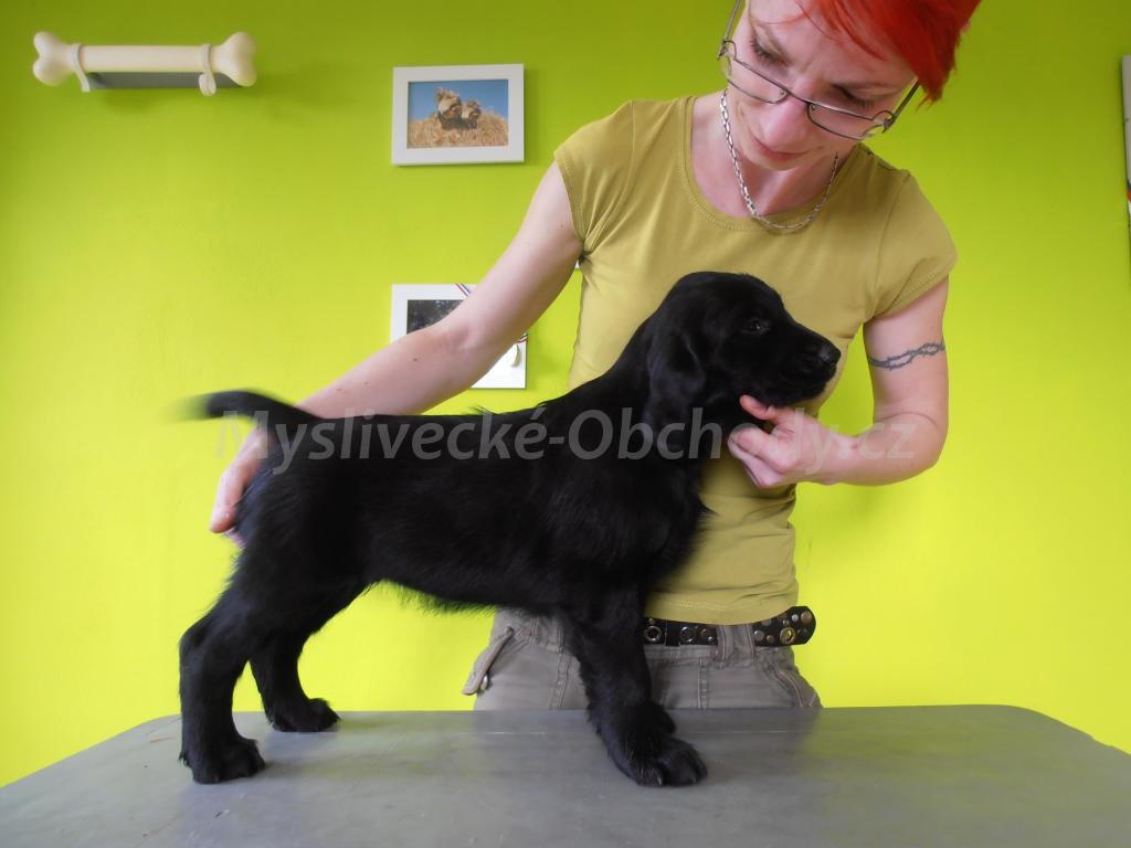 Foto v�robku