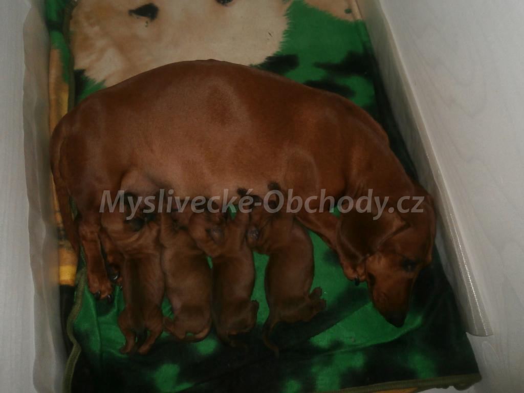 Foto v�robku
