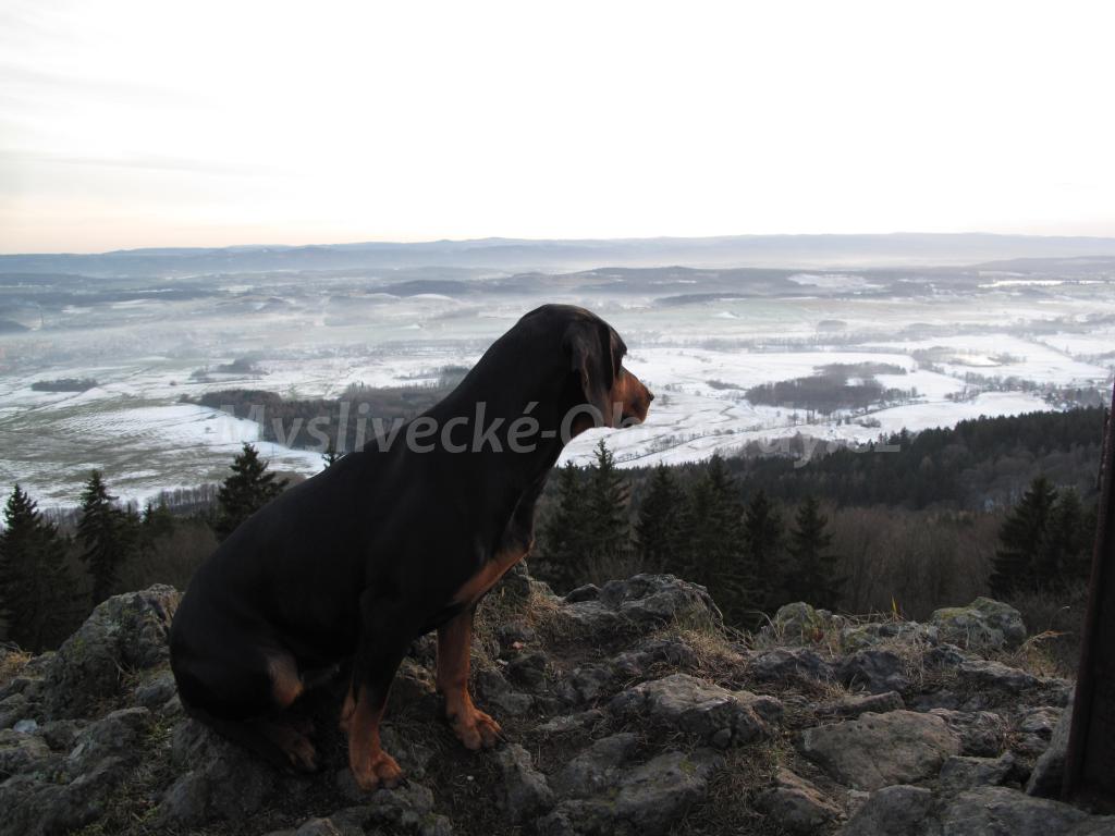 Foto v�robku