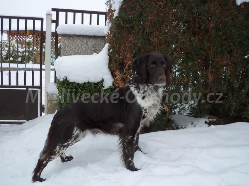Foto v�robku