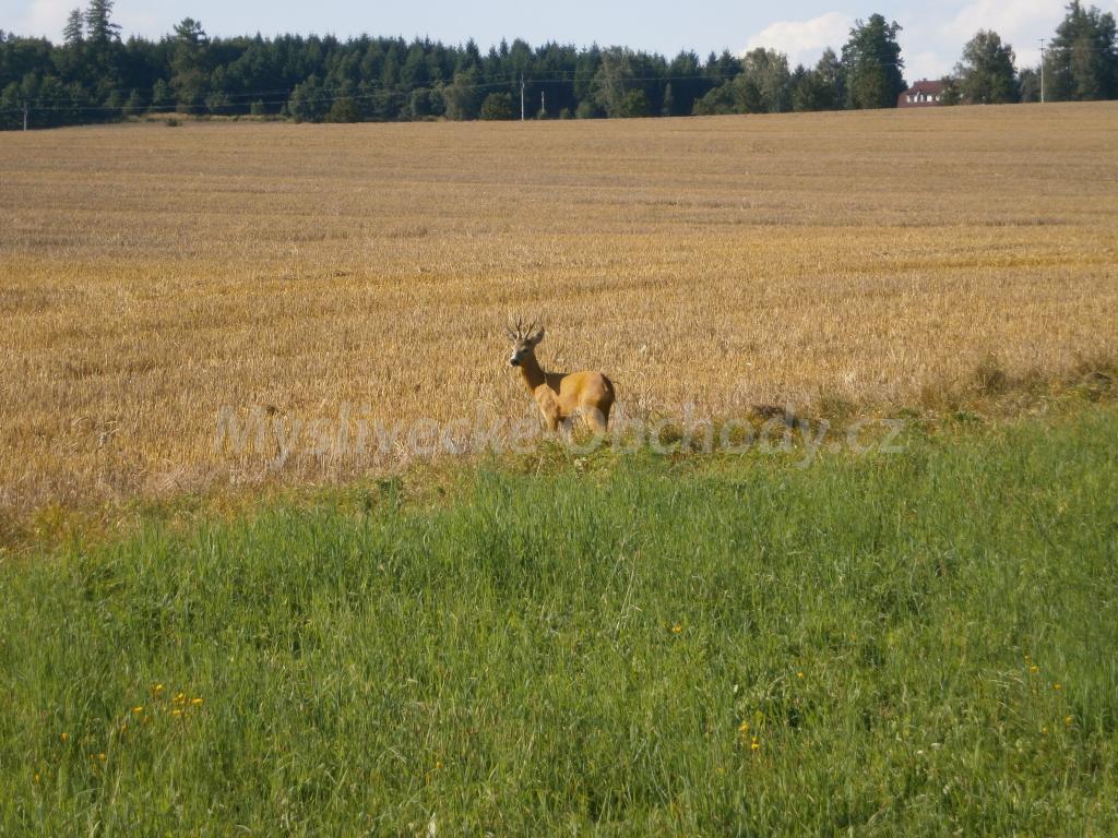 Foto v�robku