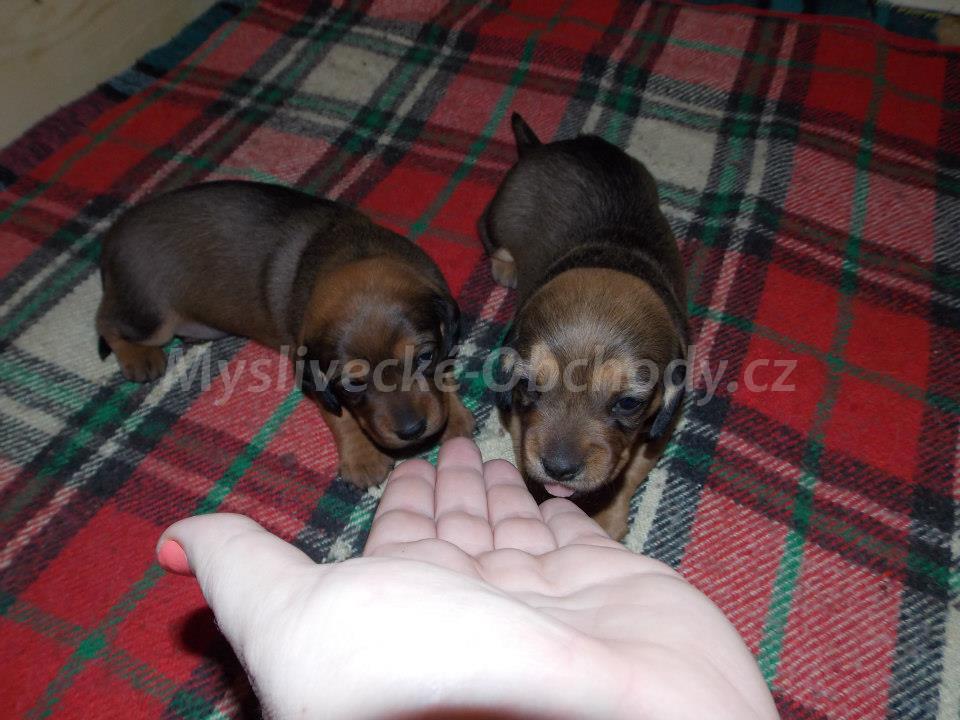 Foto v�robku