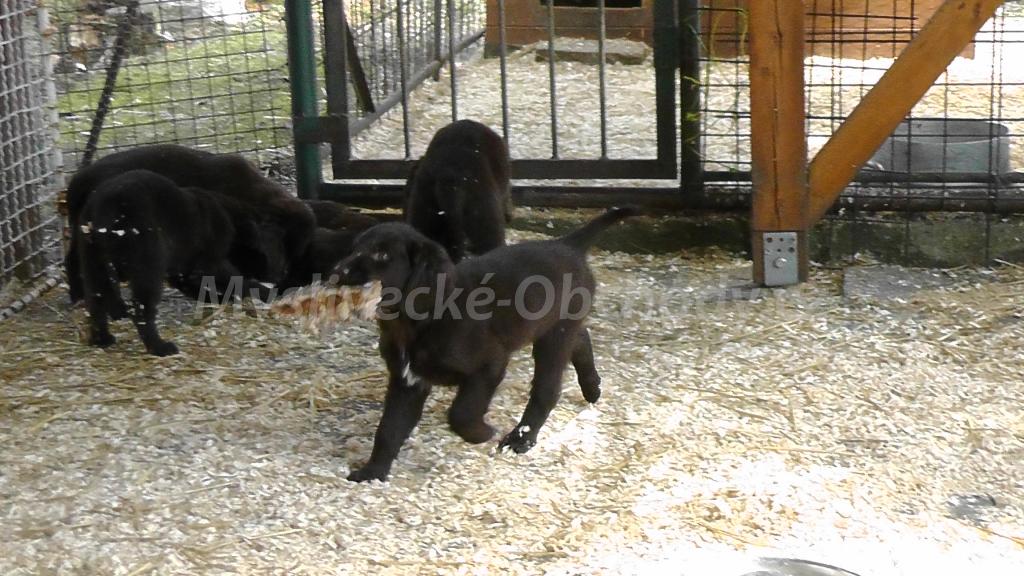 Foto v�robku