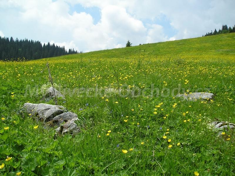 Foto v�robku