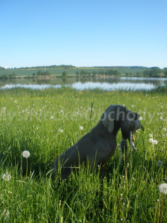 Foto v�robku