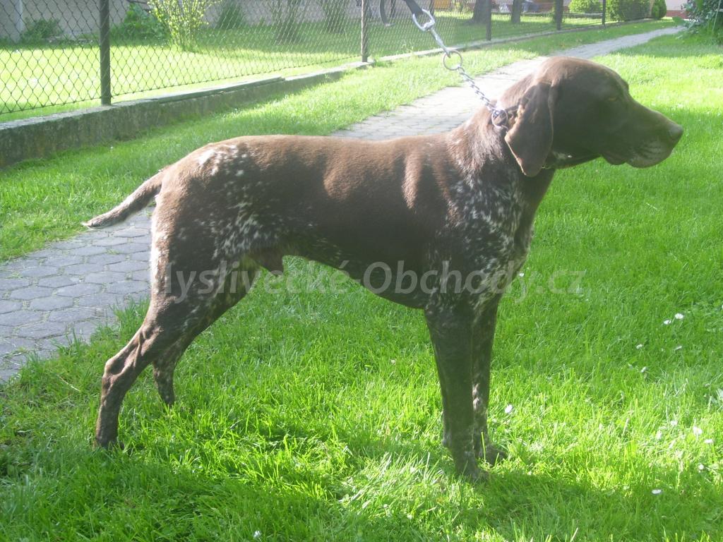 Foto v�robku