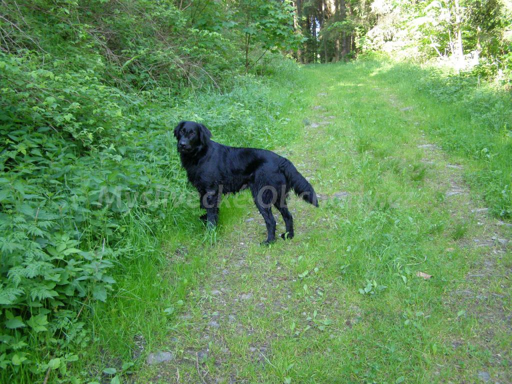 Foto v�robku