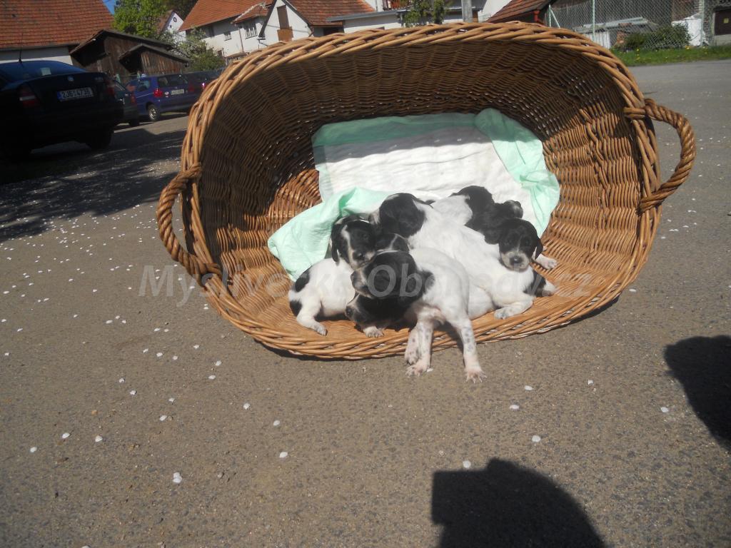 Foto v�robku