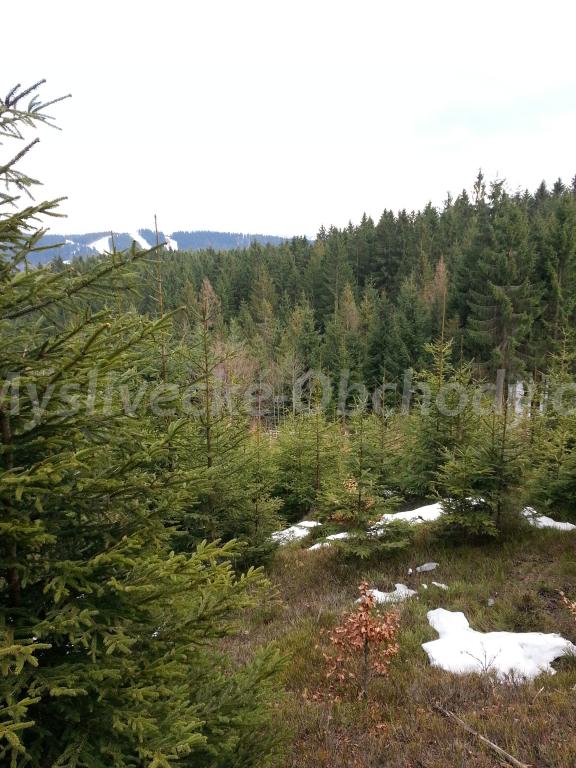 Foto v�robku