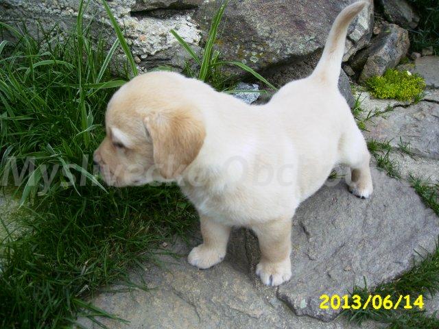 Foto v�robku