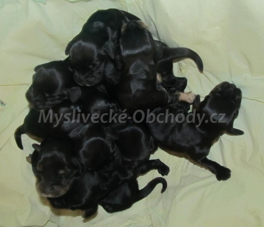 Foto v�robku