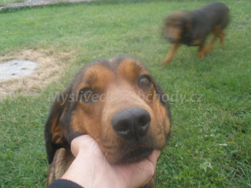 Foto v�robku