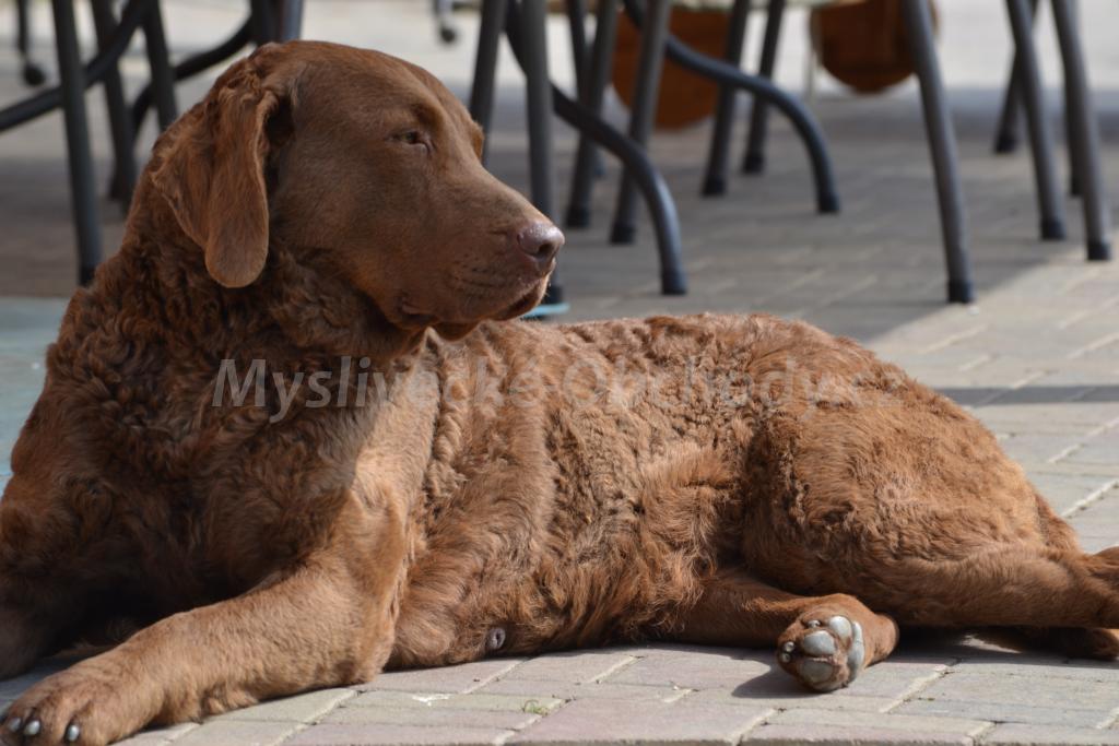 Foto v�robku