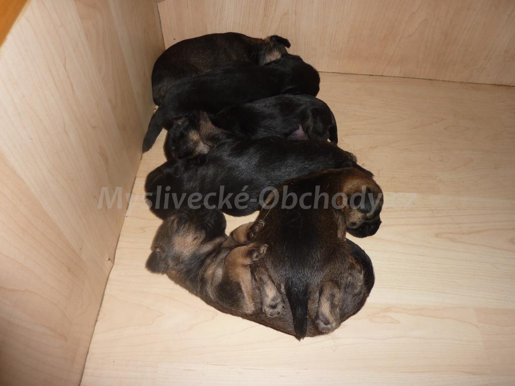 Foto v�robku
