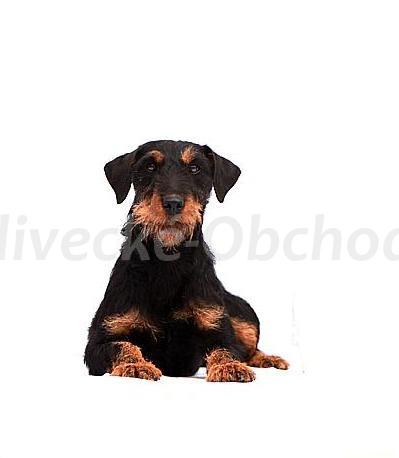 Foto v�robku