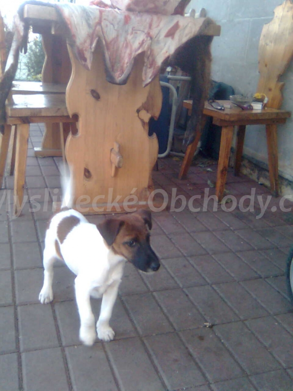 Foto v�robku