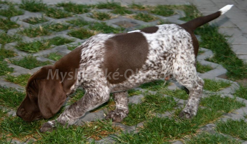 Foto v�robku