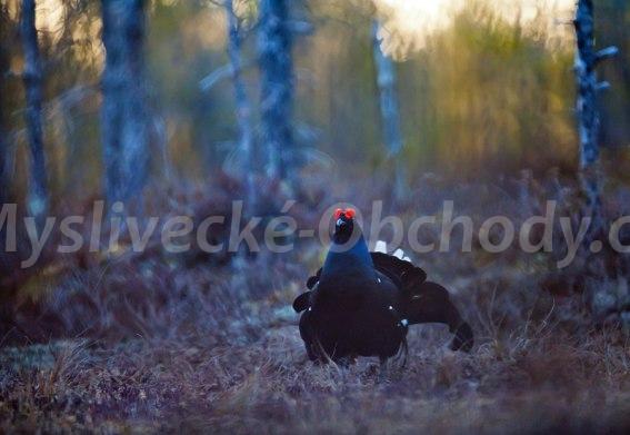 Foto v�robku