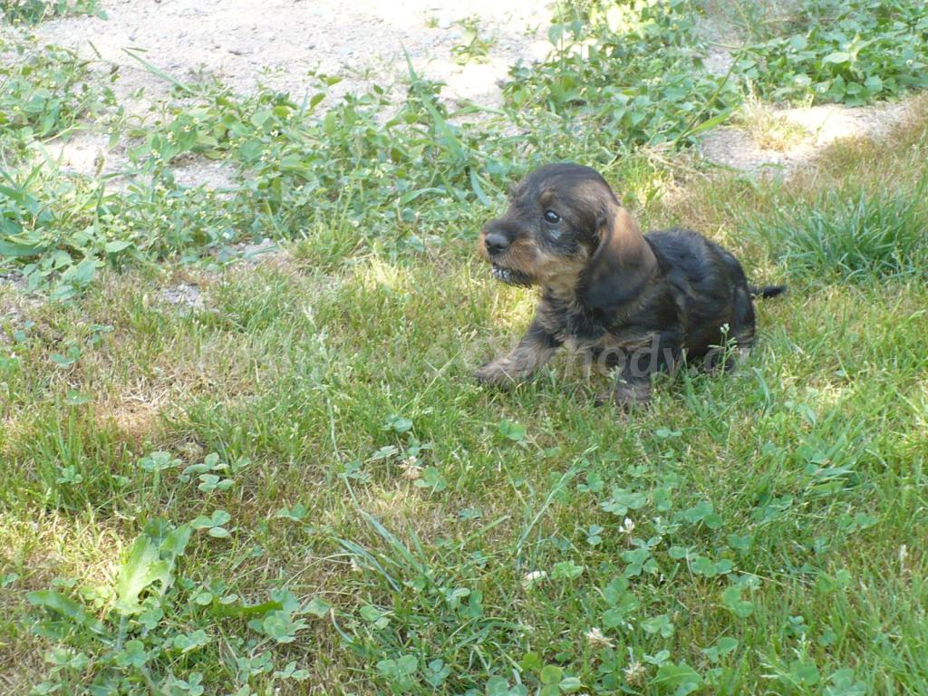Foto v�robku