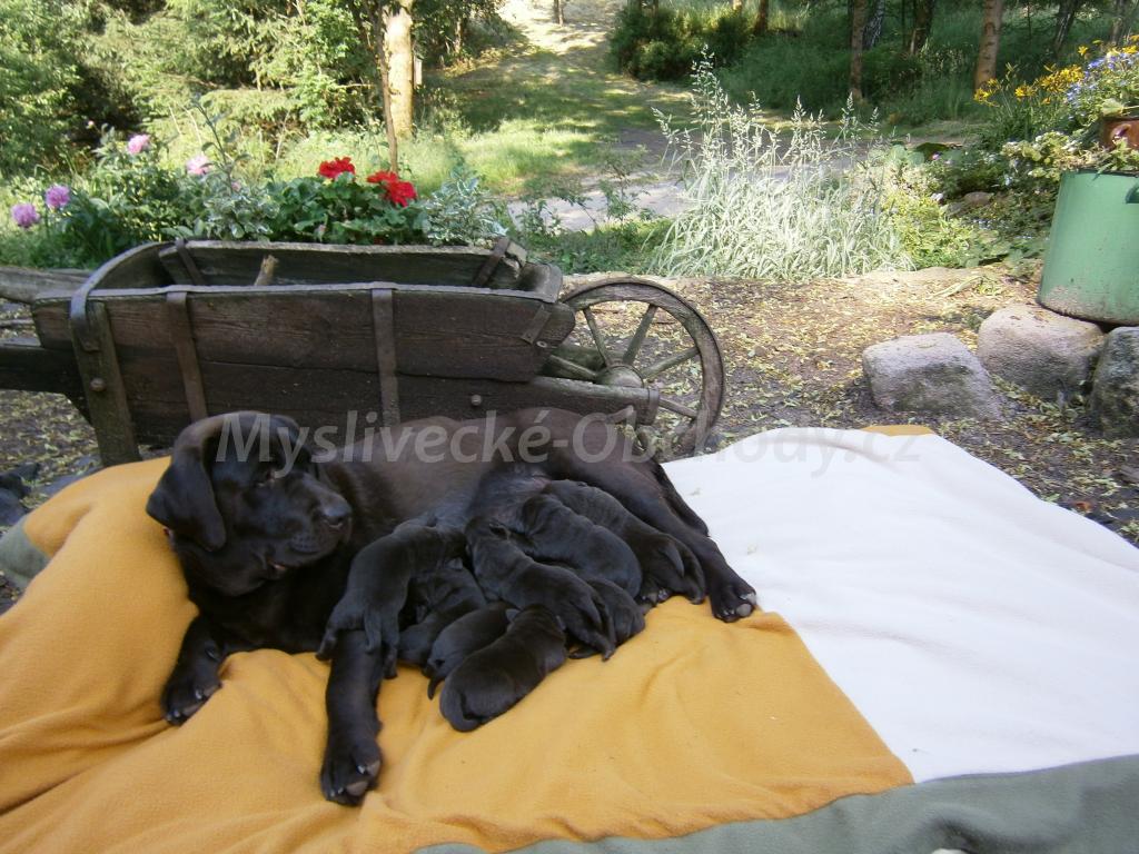 Foto v�robku