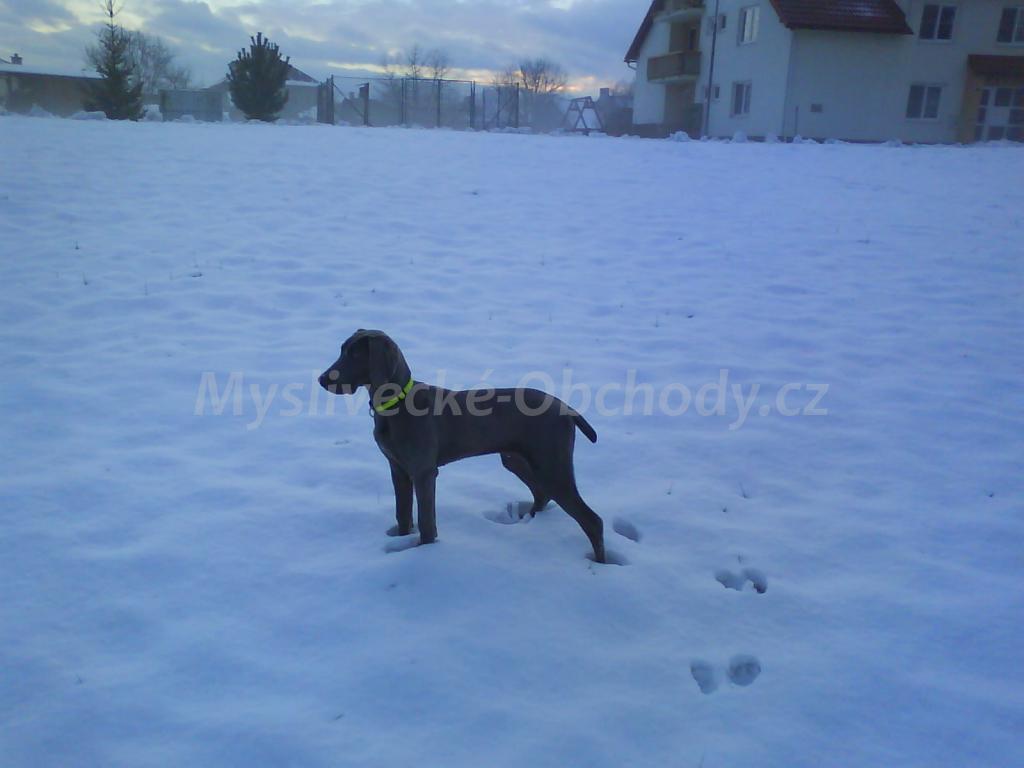 Foto v�robku
