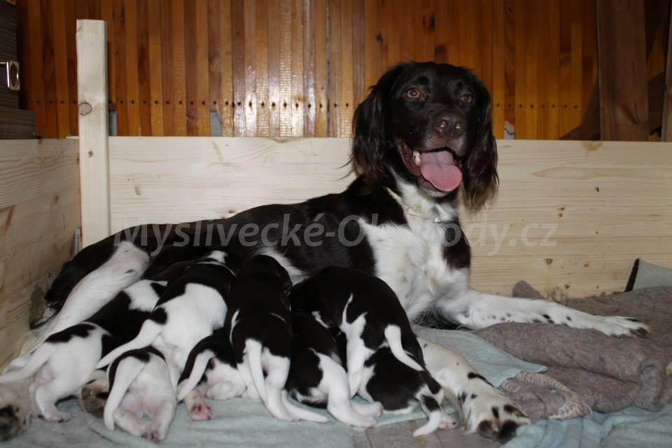 Foto v�robku
