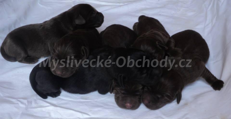 Foto v�robku