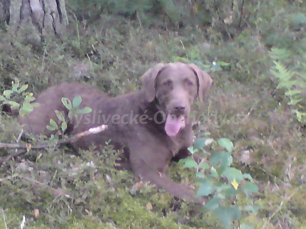 Foto v�robku