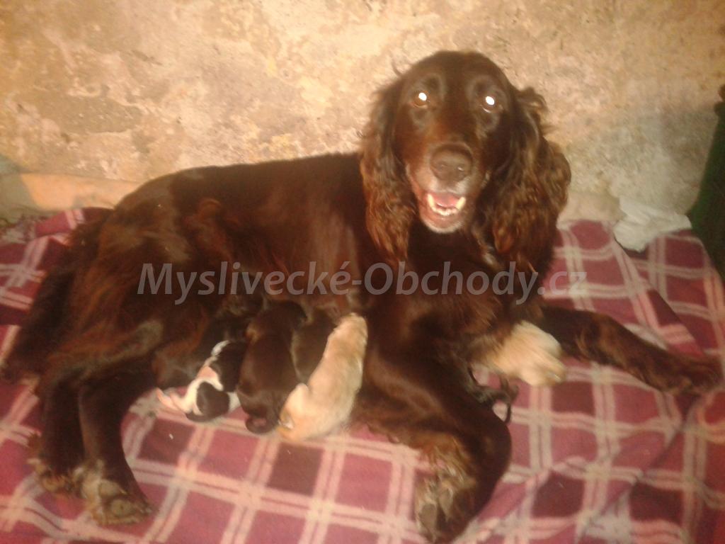 Foto v�robku