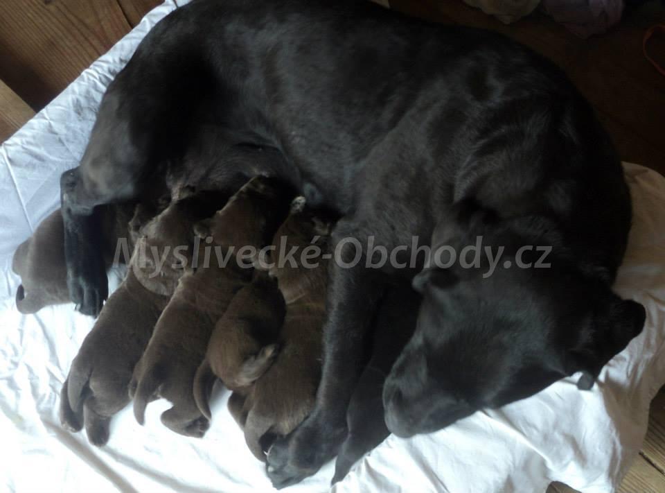 Foto v�robku