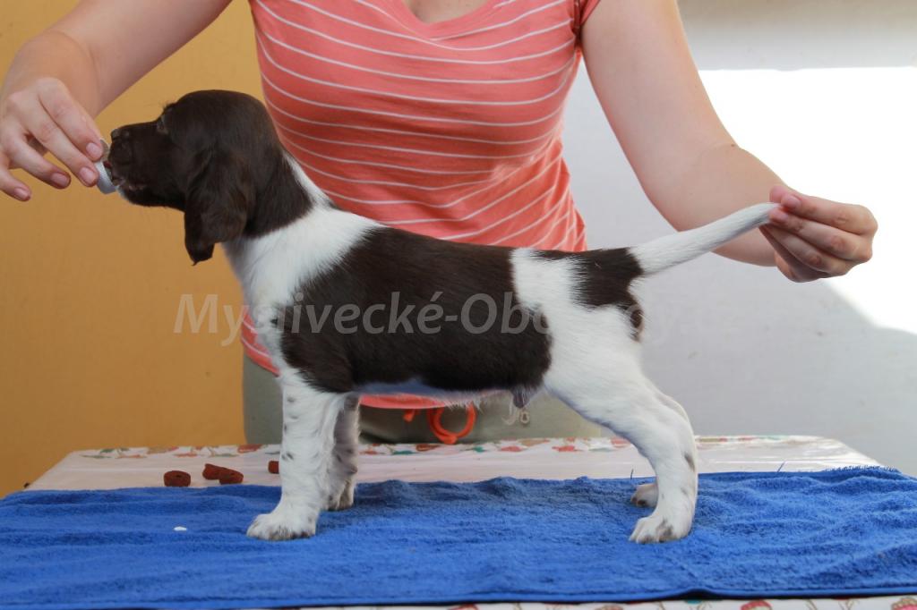 Foto v�robku
