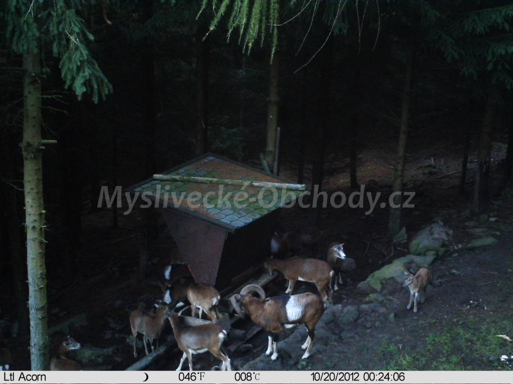 Foto v�robku