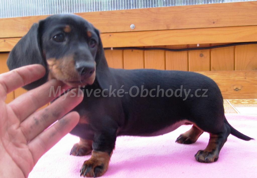Foto v�robku